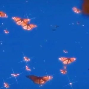 Meet your Posher, Cassandra